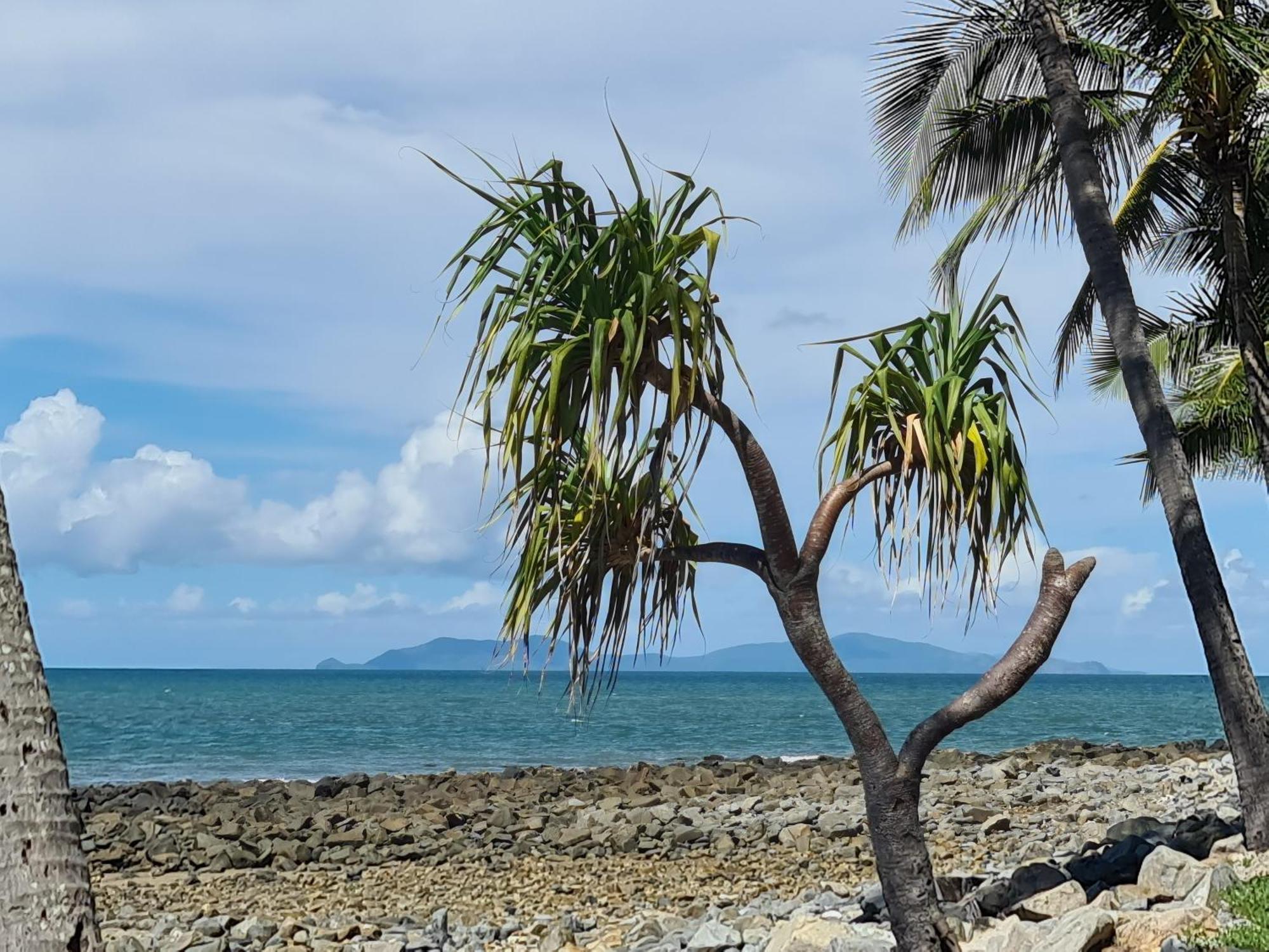 Dolphin Heads - Resort Unit - Absolute Beachfront! - Whitsunday Getaway! 麦凯 外观 照片